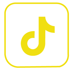TikTok Icon